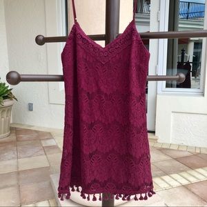 Xtraordinary Lace Shift Mini Dress